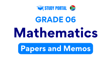 Grade 6 Mathematics Papers