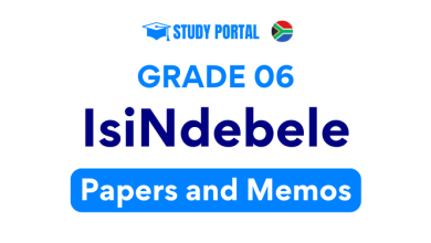 Grade 6 IsiNdebele Papers