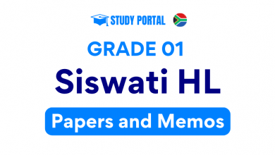 Grade 1 Siswati Papers