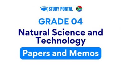 Grade 4 Natural Science and Technology Papers